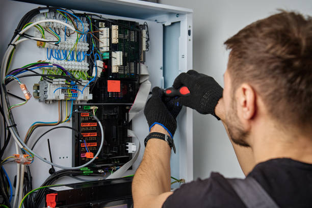 Licensed Electrical Panel Upgrade service in Roseau, MN - No Joke electrician